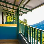 The Himalayan Deodar