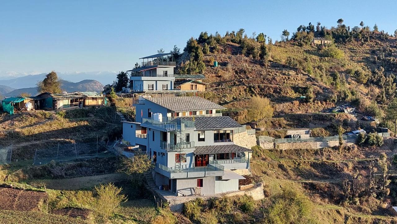 The Himalayan Deodar *
