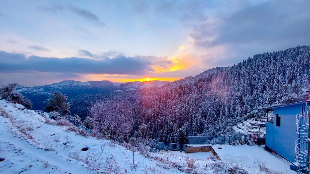 The Himalayan Deodar * Kanatal