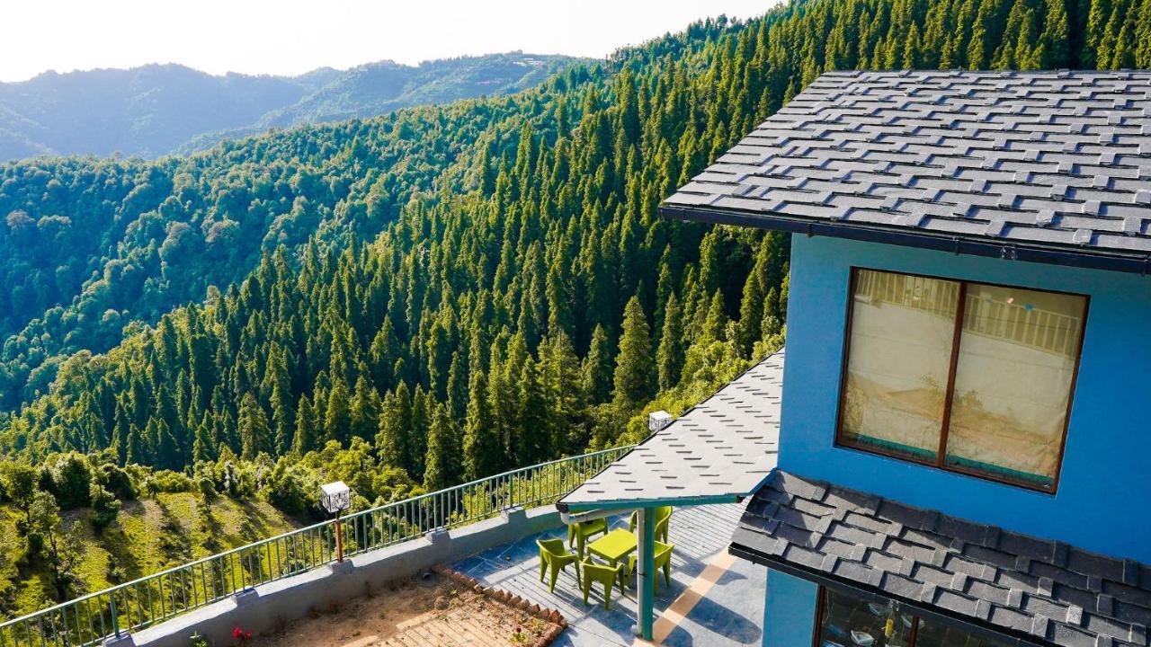 The Himalayan Deodar * Kanatal
